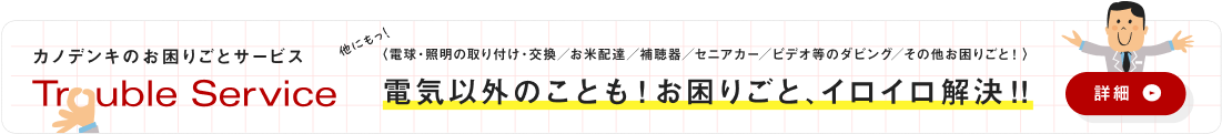 お困りごとサービス