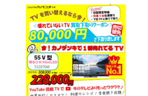 年末年始はカノデンキのTVを手に入れて～世界旅行へ出かけよう♪🎬下取りキャンペーン★第二弾★