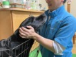 愛情深い飼い主さんから~ペットへの贈り物🎁