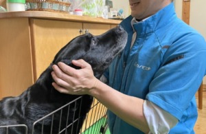 愛情深い飼い主さんから～ペットへの贈り物🎁