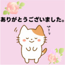 ブログを見て頂きましてありがとうございます✨