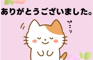 ブログを見て頂きましてありがとうございます✨