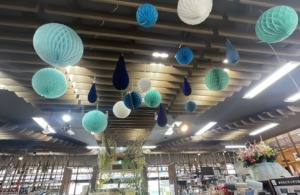 店内が<梅雨の色>に染まりました✨